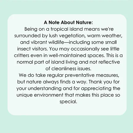 Haven * Funchal (Madeira)